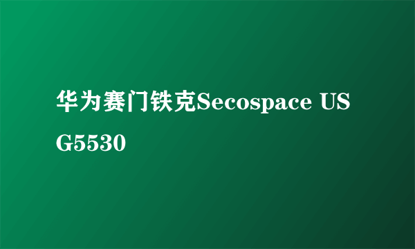 华为赛门铁克Secospace USG5530