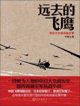 远去的飞鹰(2011年武汉出版社出版的图书)