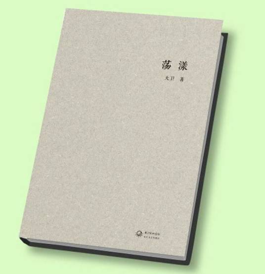 荡漾(2013年长江文艺出版社出版的图书)