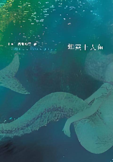 华莱士人鱼：岩井俊二新作