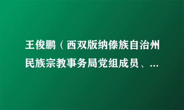 王俊鹏(西双版纳傣族自治州民族宗教事务局党组成员、副局长)