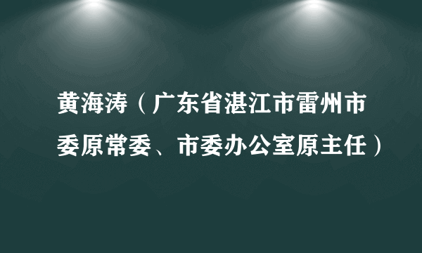 黄海涛(广东省湛江市雷州市委原常委、市委办公室原主任)
