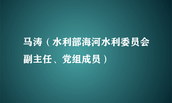 马涛（水利部海河水利委员会副主任、党组成员）
