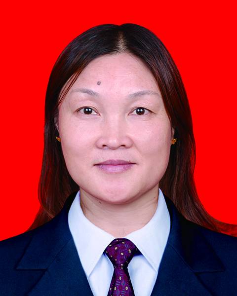 贺小梅(湖南省邵东市纪委常委)