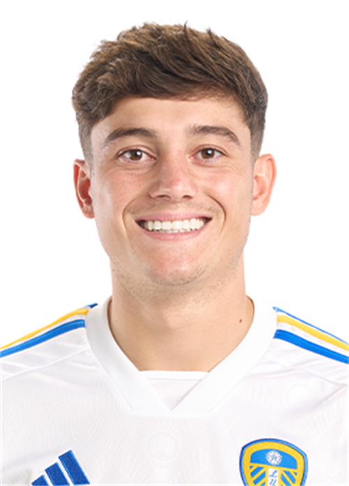 丹尼尔·詹姆斯