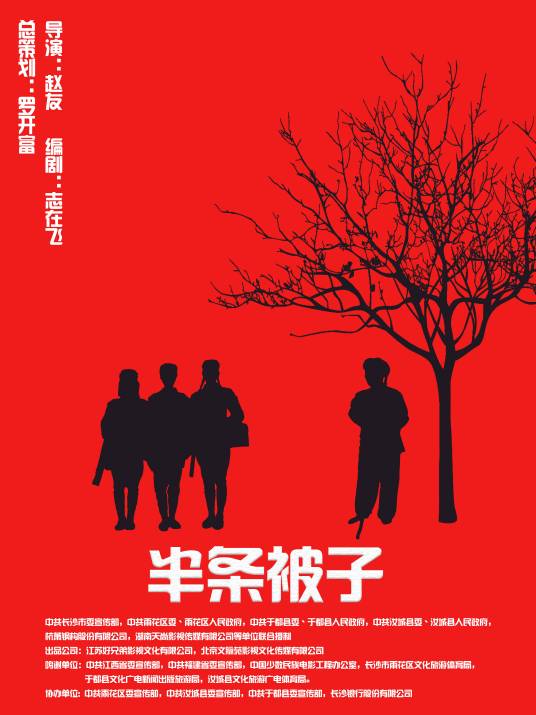 半条被子(2020年赵友执导的电影)