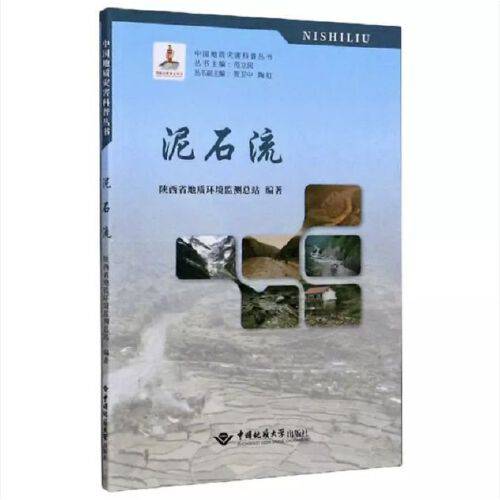 泥石流(2019年中国地质大学出版社出版的图书)