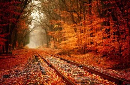 匆匆（王中朋短诗）