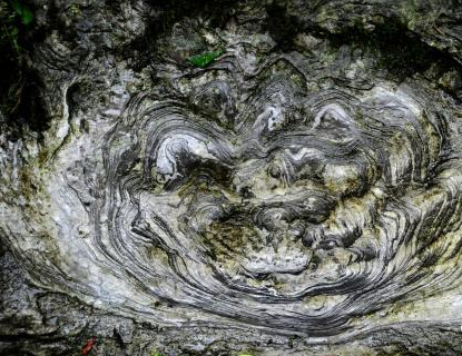 石花(重庆地理自然现象)