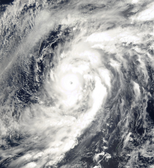 台风达维(2000年第1号强台风)