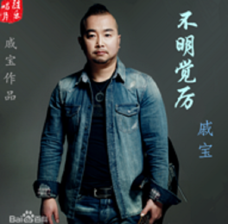 不明觉厉(戚宝演唱的歌曲)