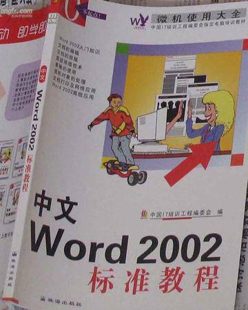 中文Word 2002标准教程