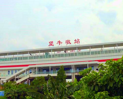 望牛墩站