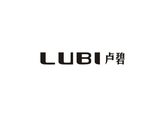 卢碧(3C数码配件品牌)