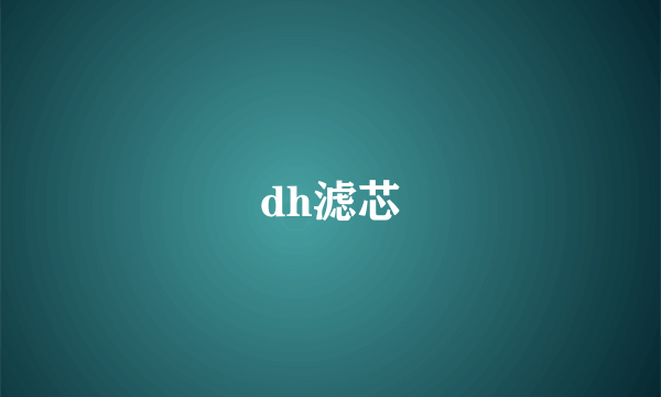 dh滤芯
