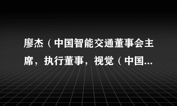 廖杰（中国智能交通董事会主席，执行董事，视觉（中国）文化发展股份有限公司董事长）
