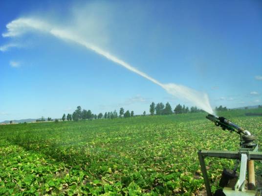 喷灌技术(应用于农产品浇灌的技术)