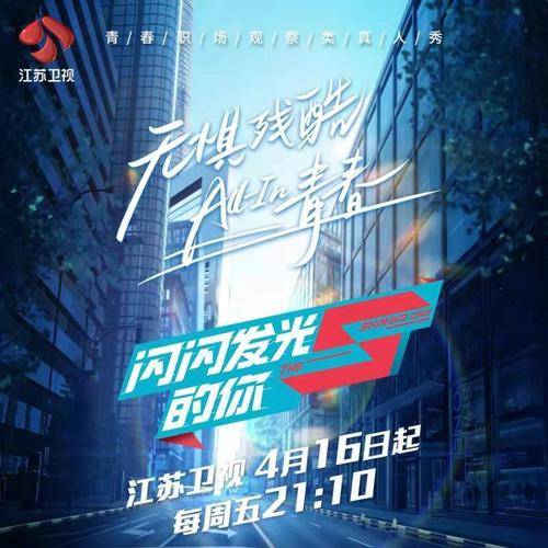 闪闪发光的你(江苏卫视同名青春职场真人秀节目主题曲)