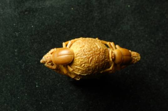 核雕(广州榄雕)