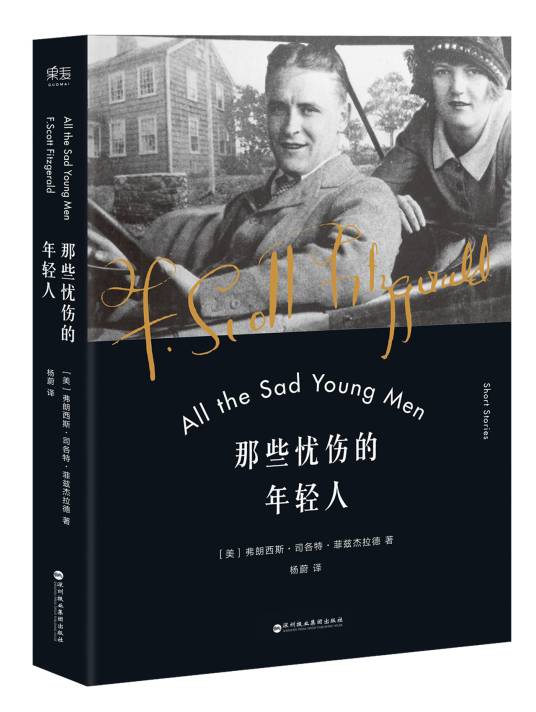 那些忧伤的年轻人（17年九篇小说收录版本）