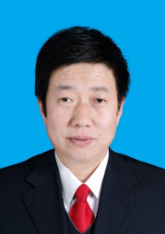 戴斌(甘肃省庆阳市合水县人大常委会党组书记、主任)