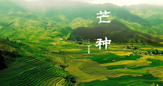 芒种(左河水的诗作)