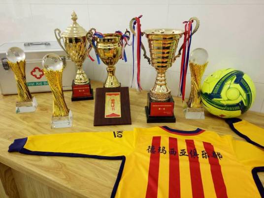 江苏德玛西亚足球俱乐部