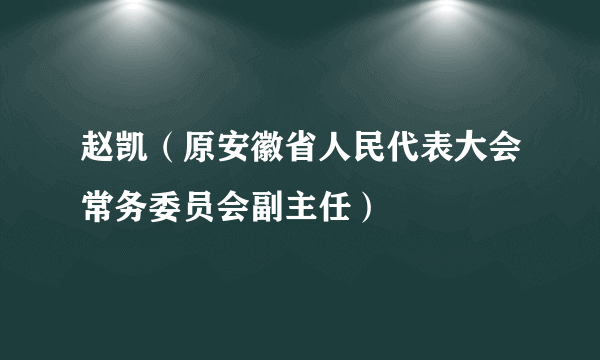 赵凯(原安徽省人民代表大会常务委员会副主任)