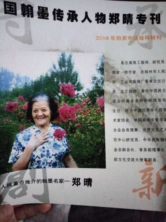 郑晴(中国民主促进会河南省委对外联络委员会主任)