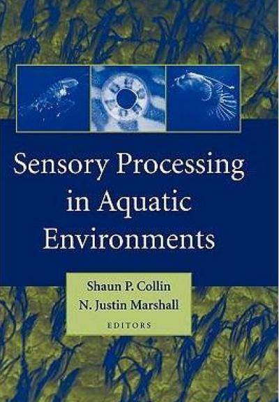 Processing(2007年MIT Press出版社出版的图书)