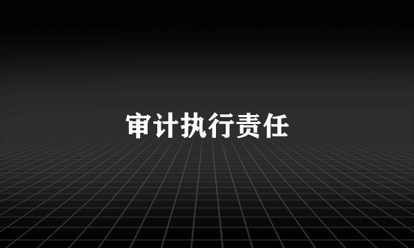 审计执行责任