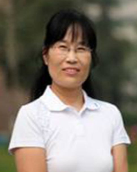 刘玉婷(陕西科技大学教授)