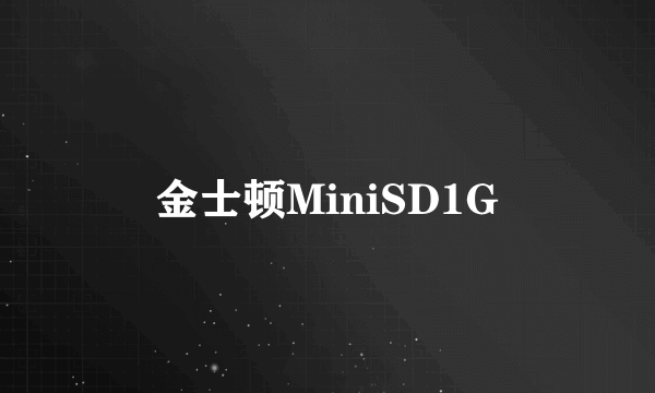 金士顿MiniSD1G