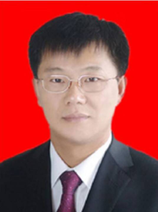 付鹏(辽宁省鞍山市台安县委常委、政府副县长)