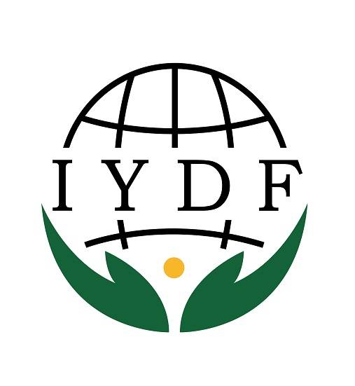 国际青年发展论坛