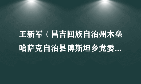 王新军(昌吉回族自治州木垒哈萨克自治县博斯坦乡党委委员、副书记)