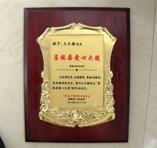 王天阳（画家）