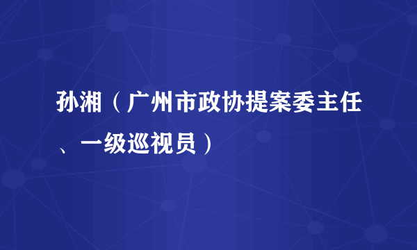 孙湘(广州市政协提案委主任、一级巡视员)