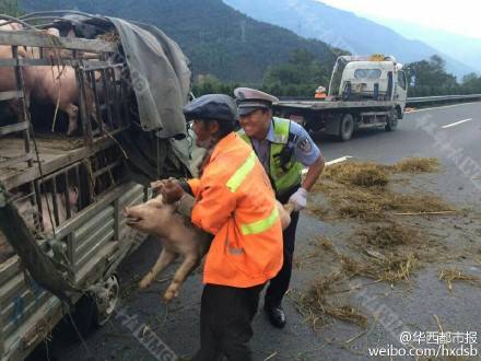 5·26雅西高速货车侧翻事故