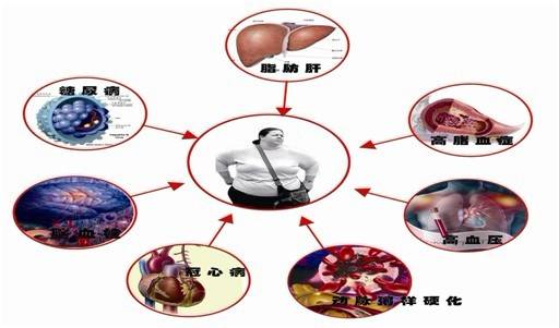 脂肪酸甲酯系列