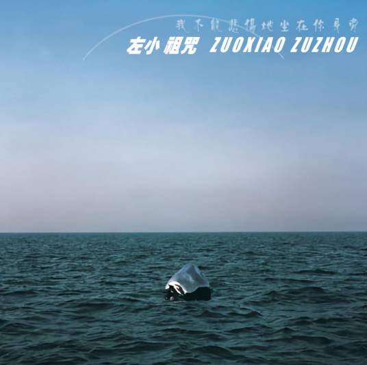 我不能悲伤地坐在你身旁(2005年左小祖咒发行的音乐专辑)