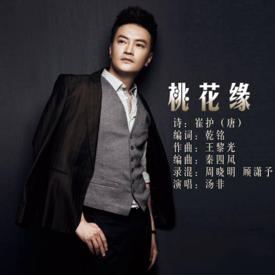 桃花缘（汤非演唱歌曲）