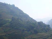 黄土坡自然村(云南省楚雄彝族自治州元谋县新华乡西沙坡村辖自然村)