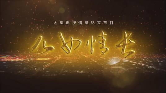 儿女情长(大型电视情感纪实节目)