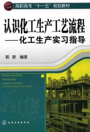 认识化工生产工艺流程