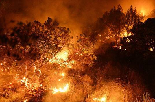 石炭纪生物大灭绝