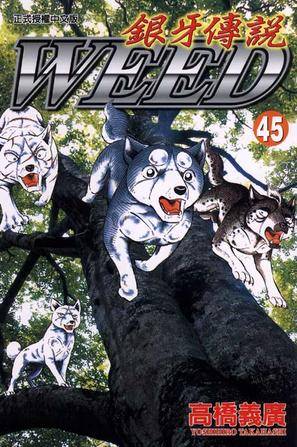 银牙传说45
