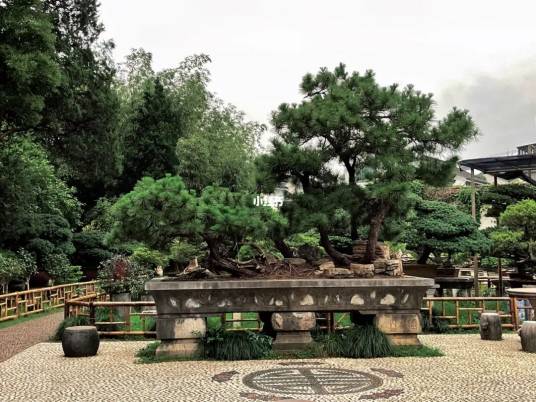 中华盆景园(四川成都盆景园)