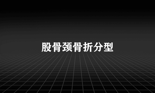 股骨颈骨折分型