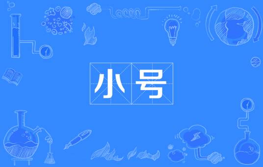 小号（网络流行词）